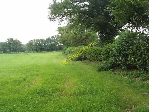 Photo 6"x4" Footpath by field Littleworth Common\/SU9386 c2008