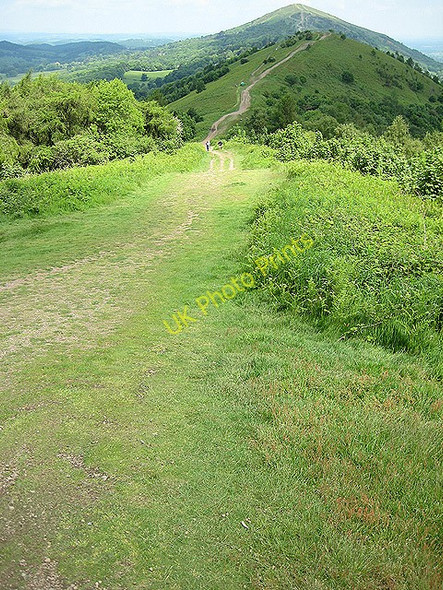 Photo 6"x4" Sinuous path towards the Worcestershire Beacon Brand Green\/SO7641 c2008