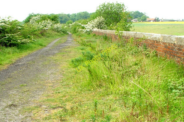 Photo 6"x4" Old Railway Bridge, Kiplingcotes Gardham c2008