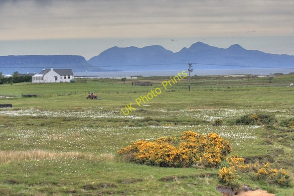 Photo 6"x4" Gorse, Cottongrass and Rum Bunacaimb c2008