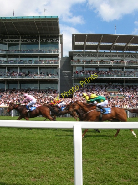 Photo 6"x4" Horses pass the Ebor and Knavesmire stands York\/SE5951 c2008