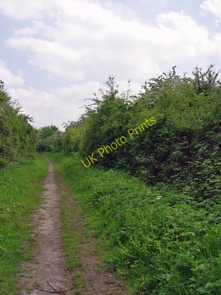 Photo 6"x4" The Hudson Way near Wold Farm Gardham c2008