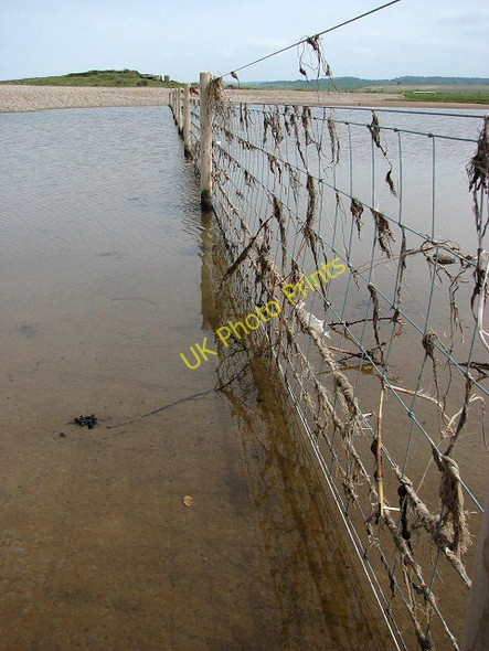 Photo 6"x4" Seaweed in fence Salthouse\/TG0743 c2008