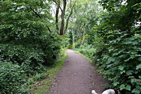 Photo 6"x4" Footpath round Elvaston Elvaston c2008