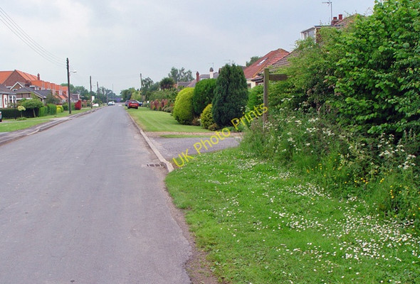 Photo 6"x4" Thearne Lane Thearne c2008