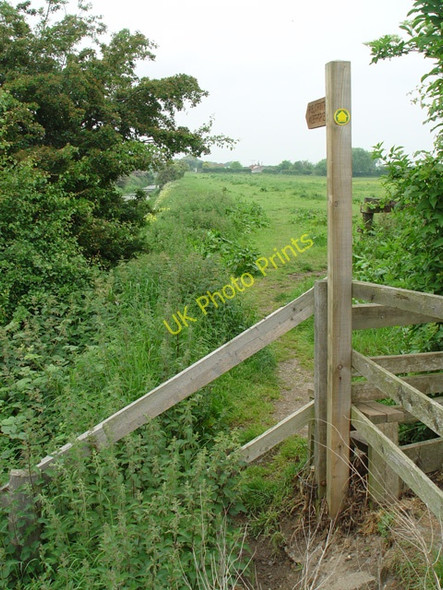 Photo 6"x4" The Wilberforce Way Woodmansey c2008