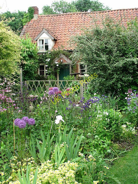 Photo 6"x4" A traditional cottage garden Foundry Hill c2008