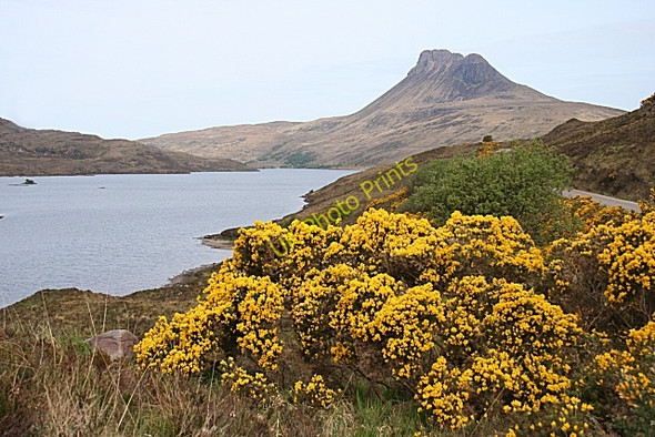 Photo 6"x4" Stac Pollaidh Stac Pollaidh c2008