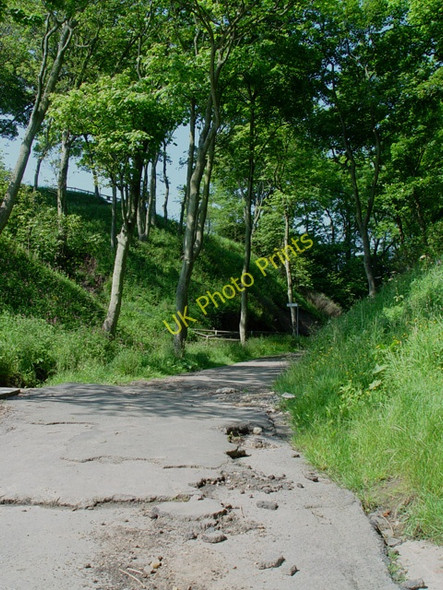 Photo 6"x4" Path to the car park Filey c2008
