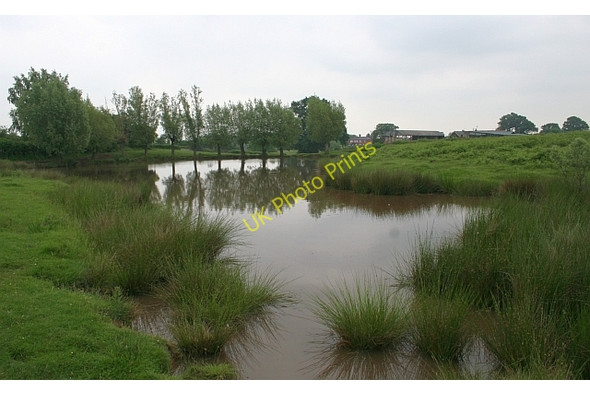 Photo 6"x4" The fish pond, Hollybed Common Chandler's Cross\/SO7738 c2008