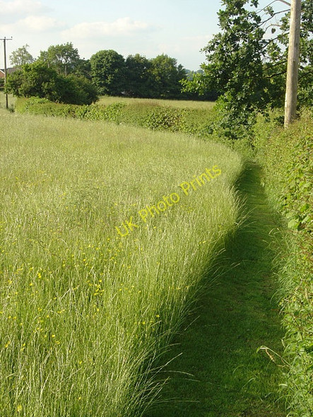 Photo 6"x4" Manicured footpath Nether Heage c2008