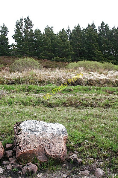 Photo 6"x4" On the Shore of Loch Ailsh Allt na Cailliche\/NC3310 c2008