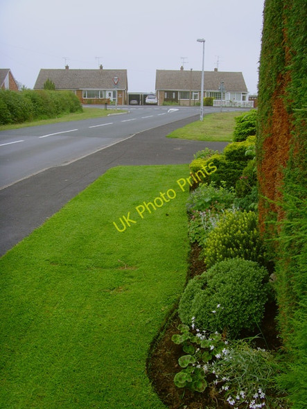 Photo 6"x4" Miles Lane, Leconfield Leconfield c2008