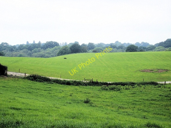 Photo 6"x4" Whitchurch - Bubney Moor Brooklands\/SJ5242 c2008