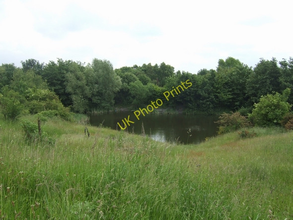 Photo 6"x4" Pool - Fibbersley Local Nature Reserve Wednesfield c2008