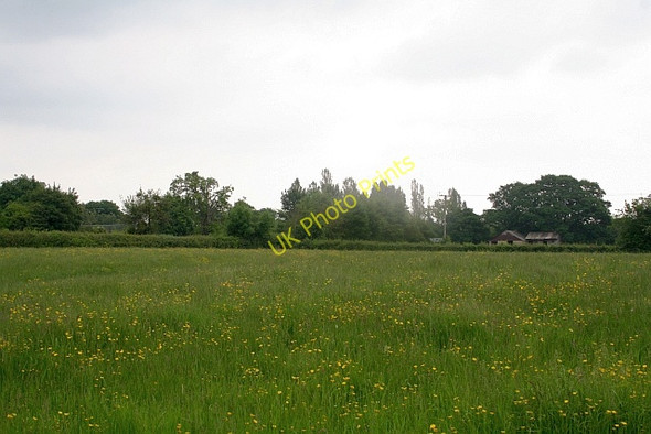Photo 6"x4" Meadow near Chandler's Cross Chandler's Cross\/SO7738 c2008