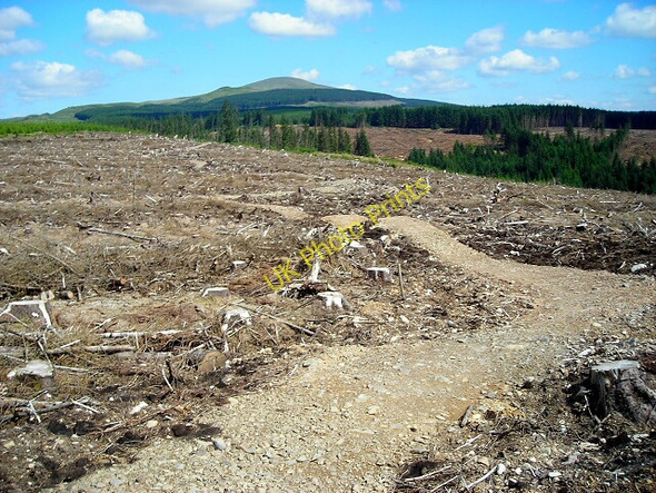 Photo 6"x4" Cycle Trail in Forest of Ae Morins Hill c2008