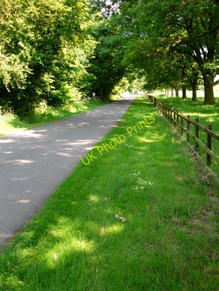 Photo 6"x4" Middleton Hall - The Drive Cliff\/SP2098 c2008