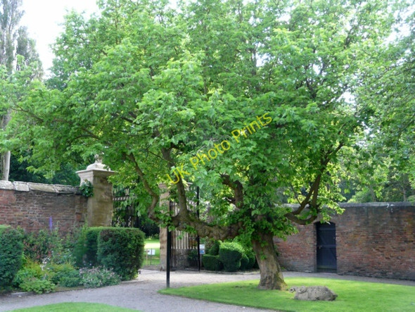 Photo 6"x4" Middleton Hall - Walled Garden Cliff\/SP2098 c2008
