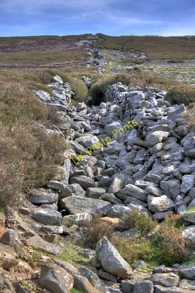 Photo 6"x4" Remains of Flue Blades\/SD9898 c2008