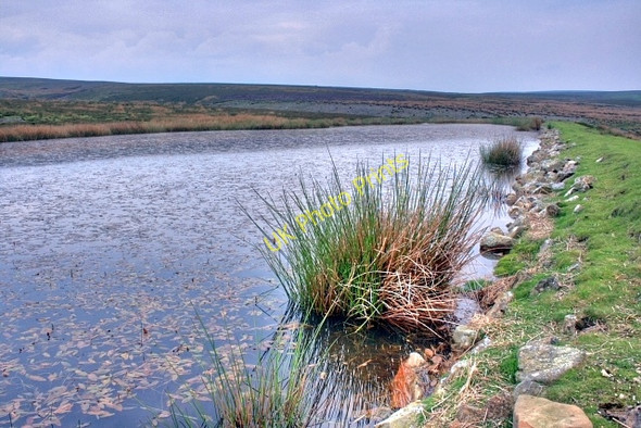 Photo 6"x4" Hurst Dam Washfold\/NZ0502 c2008