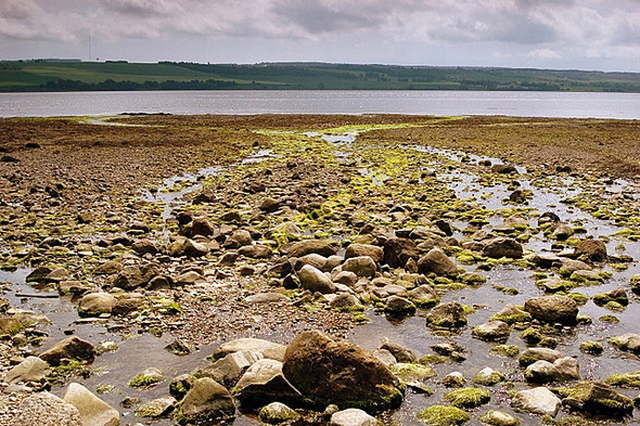 Photo 6"x4" Foulis Point Ardullie c2008