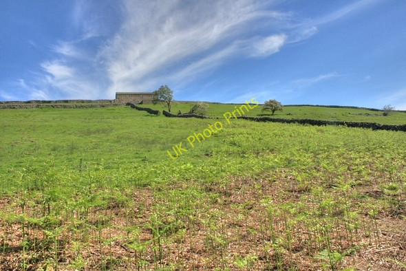 Photo 6"x4" Nova Scotia Healaugh\/SE0199 c2008