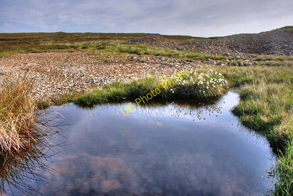 Photo 6"x4" Small Pond on Great Pinseat Whaw c2008