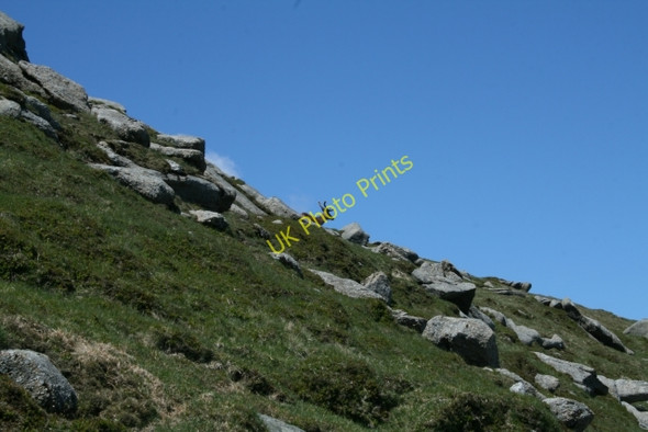 Photo 6"x4" Deer on North Goat Fell Corrie\/NS0243 c2008