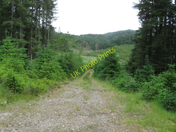 Photo 6"x4" Forestry track not marked on Landranger, looking towards valley of Polloch c2008