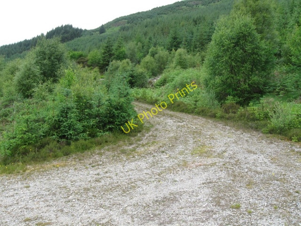 Photo 6"x4" Forestry track Polloch c2008 P2