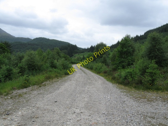 Photo 6"x4" Forestry track Polloch c2008 P3
