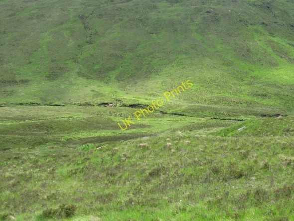 Photo 6"x4" Gleann Suileag Coille Mh\u00f2r\/NN0382 c2008