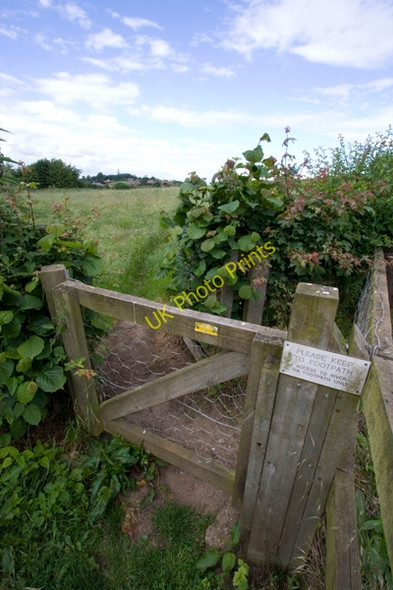 Photo 6"x4" Gate and Footpath Cowthorpe c2008