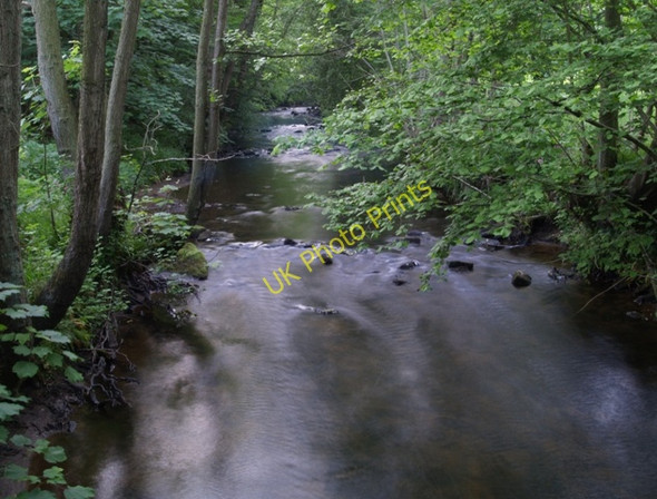 Photo 6"x4" River Dove Lowna c2008