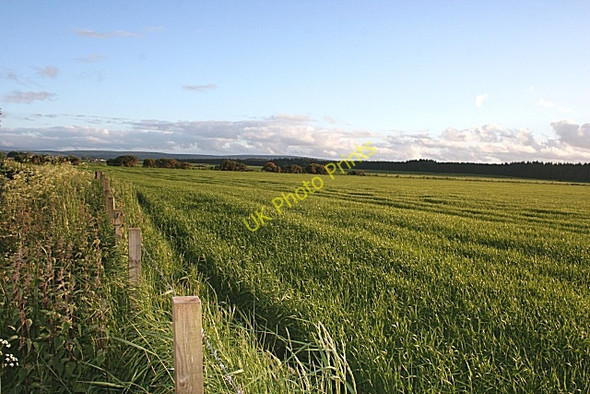 Photo 6"x4" Fields near Newton Bogmoor c2008