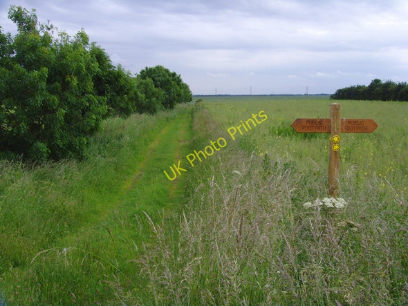 Photo 6"x4" Blacktoft Sands footpaths Blacktoft c2008