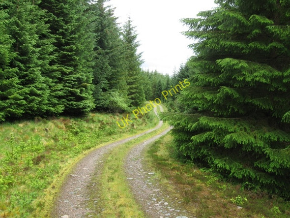 Photo 6"x4" Forestry track Allt Clachaig c2008