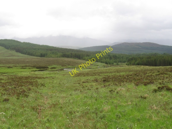 Photo 6"x4" Allt na h-Uamha entering forestry, Glen Spean beyond Torgulbin c2008