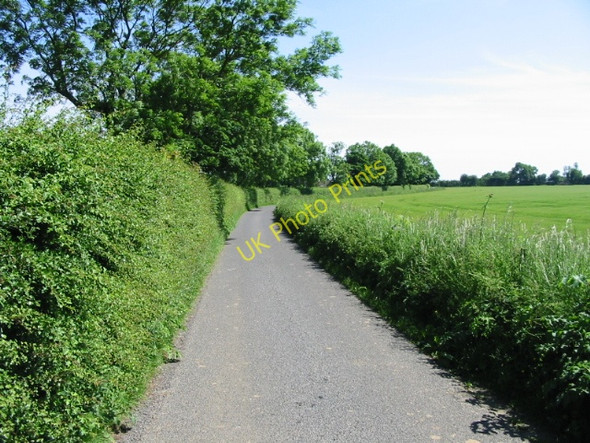 Photo 6"x4" View along Reece Lane Selsted c2008