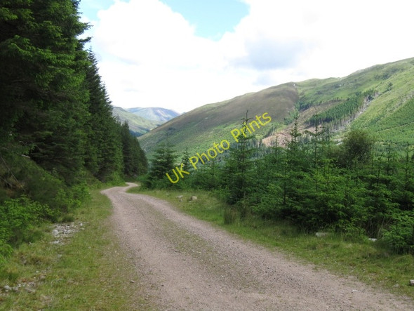 Photo 6"x4" Track, view down Gleann a' Chaolais Achadh nan Darach c2008