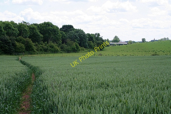Photo 6"x4" Hillworth farm and the woods of the Mill Brook Longdon\/SO8336 c2008