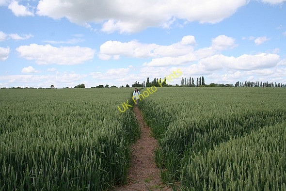 Photo 6"x4" Footpath from Eastington Longdon\/SO8336 c2008
