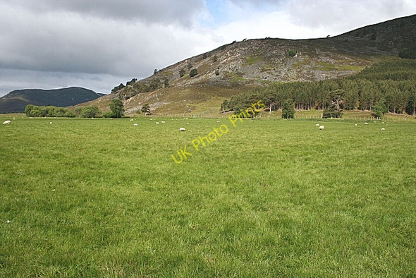 Photo 6"x4" Haugh near Braemar Auchendryne c2008