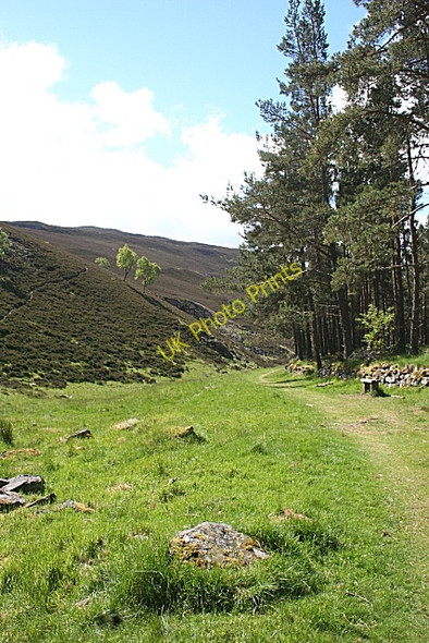 Photo 6"x4" Road Through the Glen Castleton\/NO1591 c2008