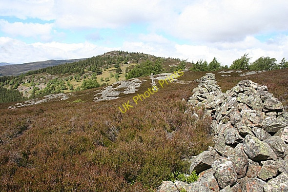 Photo 6"x4" Old Drystane Dyke Castleton\/NO1591 c2008