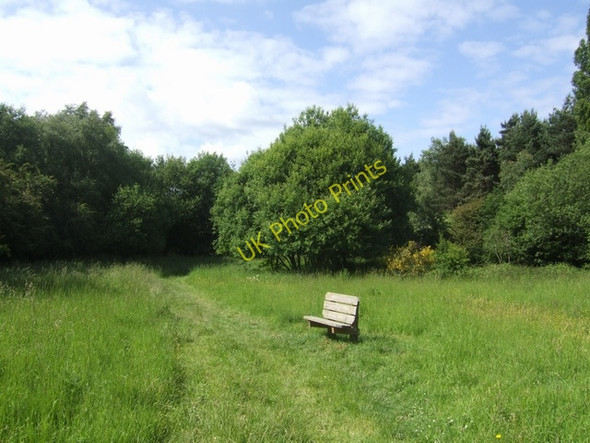 Photo 6"x4" Disused railway on Brownhills Common Brownhills\/SK0405 c2008