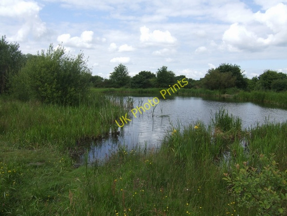 Photo 6"x4" Pool on Pelsall Common Bloxwich c2008