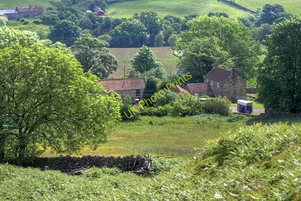 Photo 6"x4" Moorlands Farm Thorgill c2008