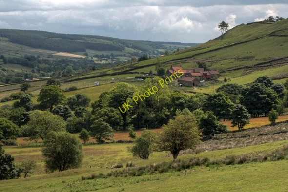Photo 6"x4" View of Medd's Farm Thorgill c2008